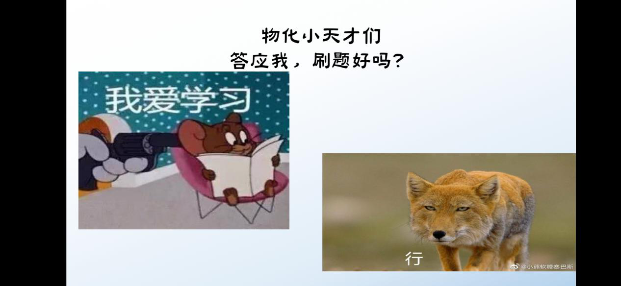 27102850956775.png